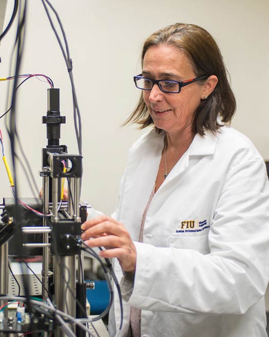 FIU Researcher in lab